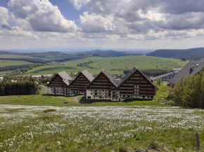 Appartement dans residence de tourisme, Besse-Et-Saint-Anastaise